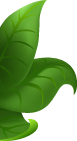 WP Theme Right Leaf